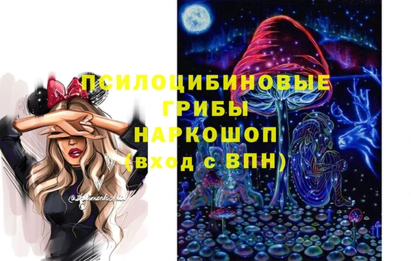 spice Алзамай