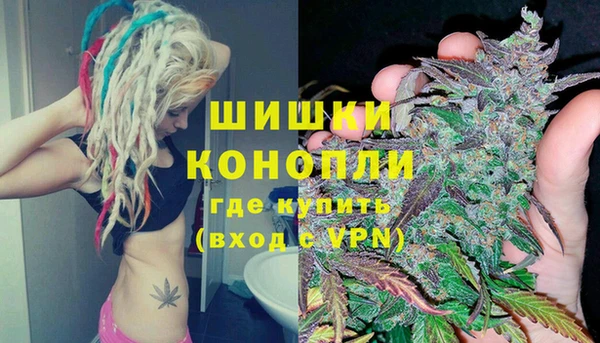spice Алзамай