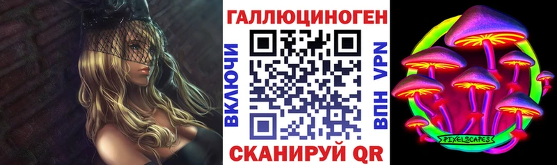 Псилоцибиновые грибы Psilocybine cubensis Жирновск